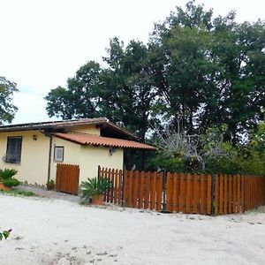 Ferienhaus Fuer 4 Personen 1 Kind Ca 75 Qm In Bottaccio, Latium Rom Und Umgebung Βίλα Castel di Guido Exterior photo