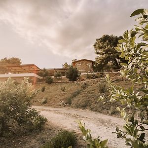 Casale 700 Bed and Breakfast Amendolara Exterior photo