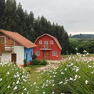 Pousada Wunderland ξενώνας Palmeira  Exterior photo