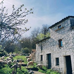 Ferme De Lacassagne Βίλα Vazerac Exterior photo