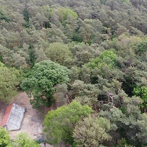 Natuurslaapkamer De Zaadeest Boskamer ξενώνας Lomm Exterior photo