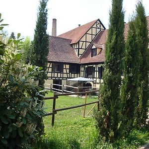 Domaine Du Moulin Im Elsass Ξενοδοχείο Bischwiller Room photo