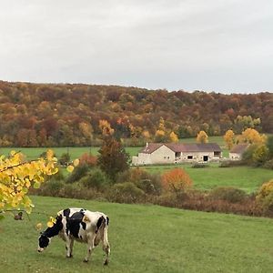 Gite 6 Pers De La Vallee De L'Aujon Βίλα Arc-en-Barrois Exterior photo