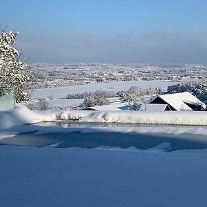 Deluxe Doppelzimmer Mit Terrasse Und Aussicht Διαμέρισμα Dänikon Exterior photo