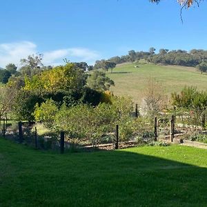 Mount Hope Estate Vineyard Διαμέρισμα Dixons Creek Exterior photo