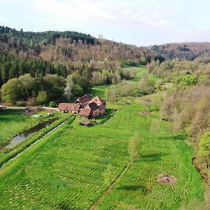 Maison D'Hotes De Charme - Ancien Moulin En Pleine Nature - La Paulusmuehle Ξενοδοχείο Soucht Exterior photo