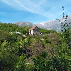 Bujtina Aliaj Ξενοδοχείο Τροπόγια Exterior photo