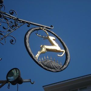 Hotel Goldener Hirsch Μπαϊρόιτ Exterior photo