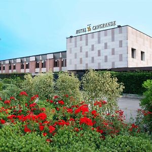 Hotel Cangrande Di Soave Σοάβε Exterior photo