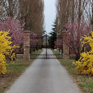 Agriturismo Corte Rocca ξενώνας San Giorgio di Mantova Exterior photo