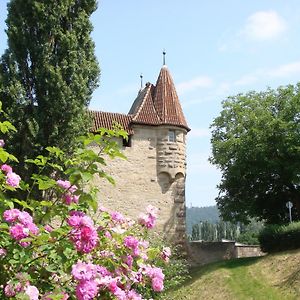 Weingut Gaestehaus Weigand Ξενοδοχείο Iphofen Exterior photo