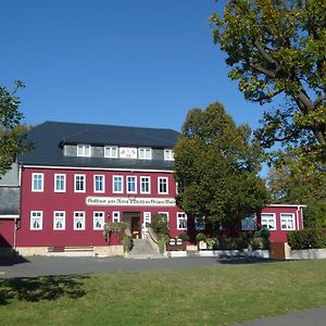 Zum Roten Hirsch Im Gruenen Wald Ξενοδοχείο Saalfeld Saale Exterior photo