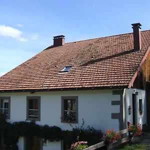 La Ferme Du Vieux Sapin Bed and Breakfast La Bresse Exterior photo