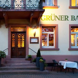 Hotel & Restaurant Gruener Baum Merzhausen Φράιμπουργκ Exterior photo