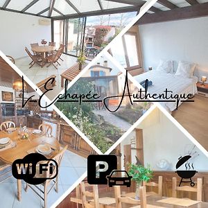 L Echapee Authentique Veranda Climatisee Et Barbecue Διαμέρισμα Plaisance-du-Touch Exterior photo