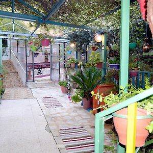 بيت الطبيعة Nature House Διαμέρισμα Γέρασα Exterior photo