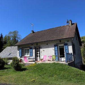 Maison De Caractere Avec Jardin, 5 Pers., Condat - Parc Des Volcans D'Auvergne - Fr-1-742-117 Βίλα Exterior photo