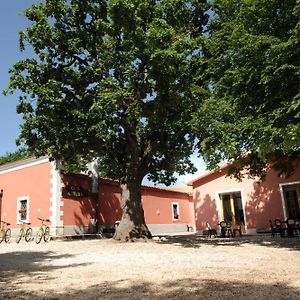 Casa Natura Gargano Bed and Breakfast Monte SantʼAngelo Exterior photo