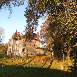 Le Chateau Du Grand Coudray Bed and Breakfast Villaines-la-Juhel Exterior photo