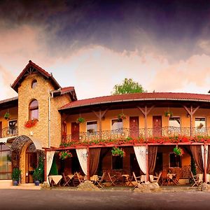 Hotel Transilvania Σιγκισοάρα Exterior photo