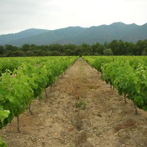 Domaine De Nidoleres Ξενοδοχείο Tresserre Exterior photo