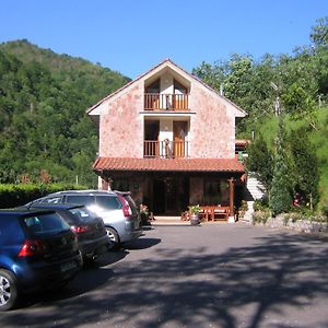 La Salmonera Cangas De Onis Ξενοδοχείο Caño Exterior photo