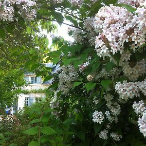 La Butte De Gohier Bed and Breakfast Blaison Exterior photo