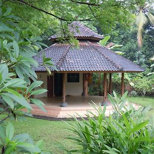 Sananda Bungalow Ξενοδοχείο Lovina Exterior photo