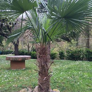 Locanda Irene Ξενοδοχείο Monte San Pietro Exterior photo