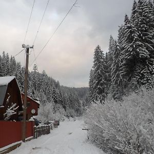 Sadiba Bunker Chan Ξενοδοχείο Mizhhirya  Exterior photo