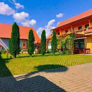 Pensiunea Keisd Bed and Breakfast Saschiz Exterior photo