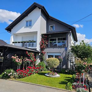 Apartman Vesna Διαμέρισμα Bjelovar Exterior photo