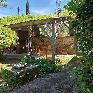 Au Coeur Des Chateaux Et Des Vignobles De La Loire Βίλα Huismes Exterior photo