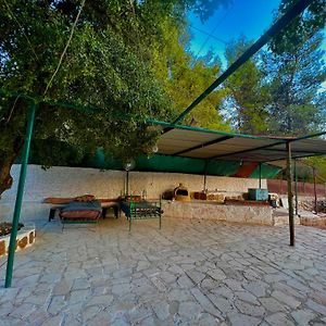 Oak Farm مزرعة الملّول ξενώνας ‘Ajlūn Exterior photo