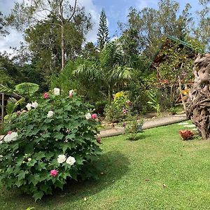 Oasis De Tendea - Bali A Farino Ξενοδοχείο Exterior photo