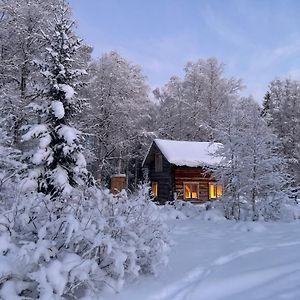 Gemuetliche Blockhuette Mit Aussentoilette Und Badezimmer Im Haupthaus Βίλα Jorn Exterior photo