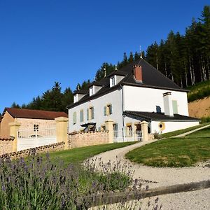 Le Domaine De La Source Ξενοδοχείο Chauffailles Exterior photo