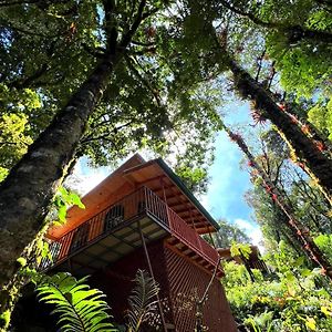 Cabana Anturios Ξενοδοχείο Σαν Χοσέ Exterior photo