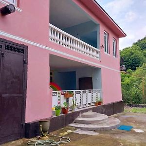 A House In Nature Βίλα Ch'aisubani Exterior photo