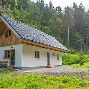 Grobmbauerhuette Βίλα Sankt Stefan ob Leoben Exterior photo