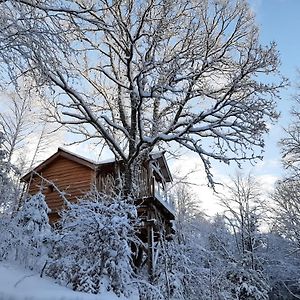 Cabanes Du Herisson, Cabanes Perchees De Standing Avec Spa Bonlieu Exterior photo