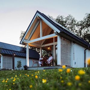 Tiny House - Optioneel Met Hottub Διαμέρισμα Dokkum Room photo