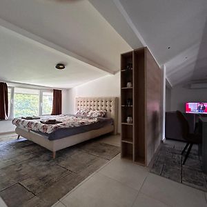 Anton Lux Apartment Κότσανη Room photo