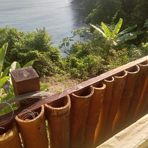 Treehouse Above The Beach Διαμέρισμα Πορτ Αντόνιο Exterior photo