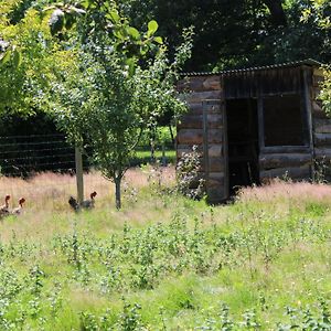 Ecogite Rural La Cle Des Champs Βίλα Peyrelongue-Abos Room photo