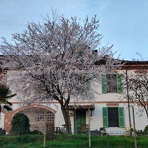 Cascina Patrizia Bed and Breakfast Άστι Exterior photo