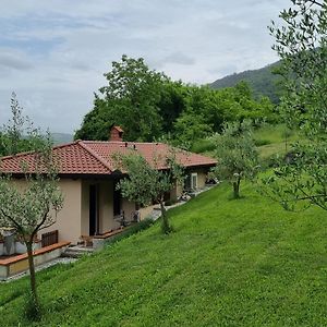 Zelkonn House Διαμέρισμα Branik Exterior photo