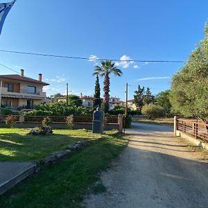 Filemial House Διαμέρισμα Άγιος Μάμας Exterior photo