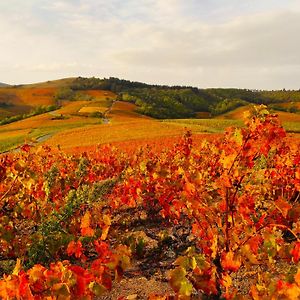 Le Panoramic Chiroubles Beaujolais Βίλα Exterior photo