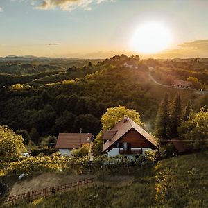 Cozy Family Place 'Hisa Grozdek' - Gruskovec 40A Βίλα Exterior photo